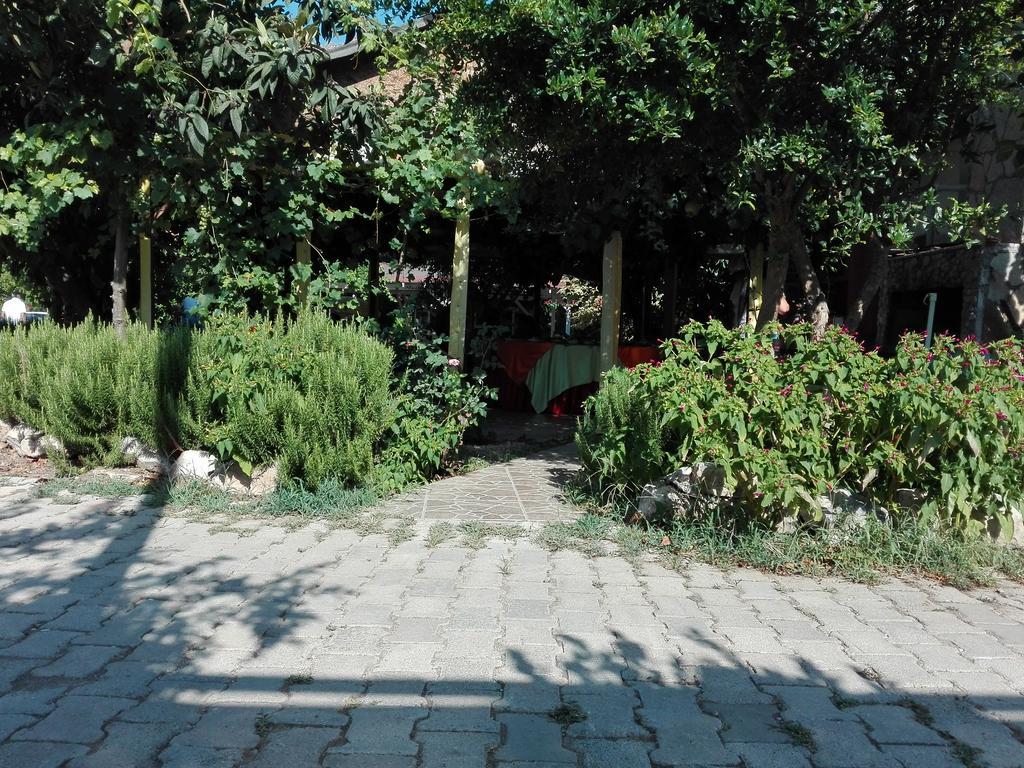 Rosemary Pansiyon Apart Bed and Breakfast Çıralı Buitenkant foto